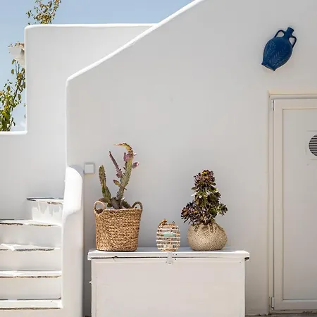 Naxos Pantheon House Panoramic View 公寓 *